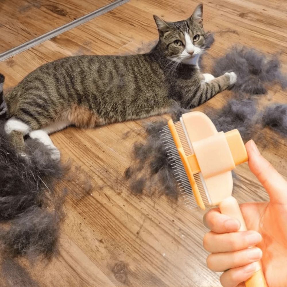 anti-poils pour chats