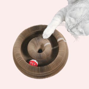 griffage pour chat rond