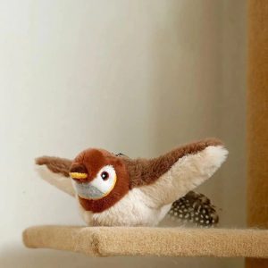 Oiseau pour chat