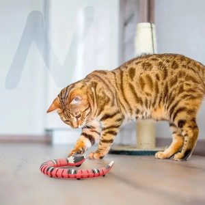 serpent interactif pour chat