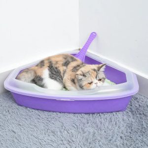 litière d'angle chat