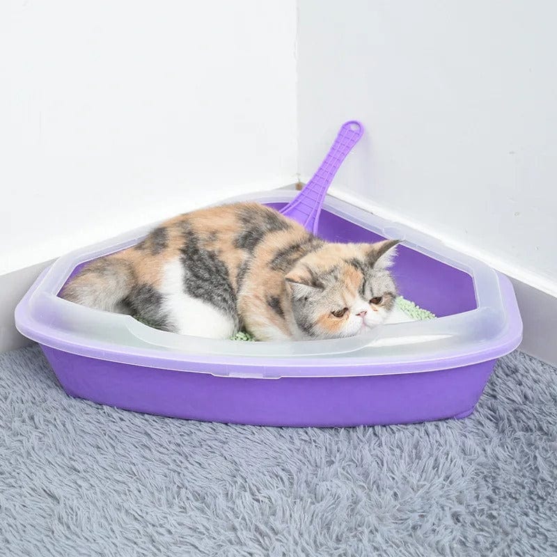 litière d'angle chat