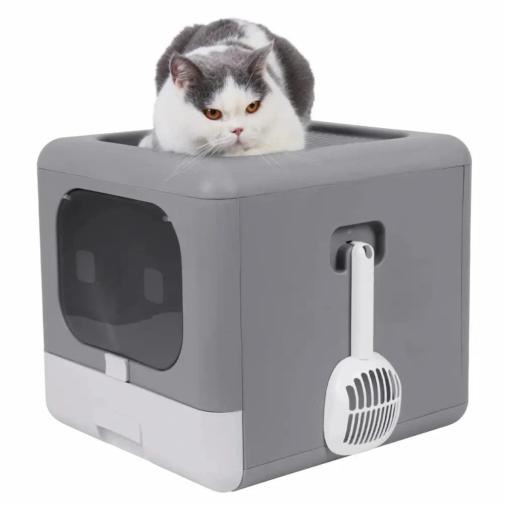 Cube toilette chat efficace
