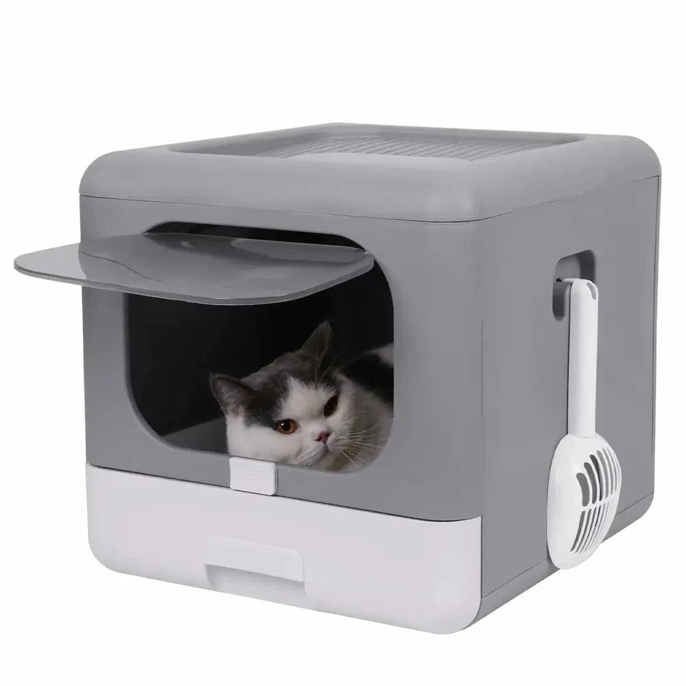 Maison toilette Cube chat propre
