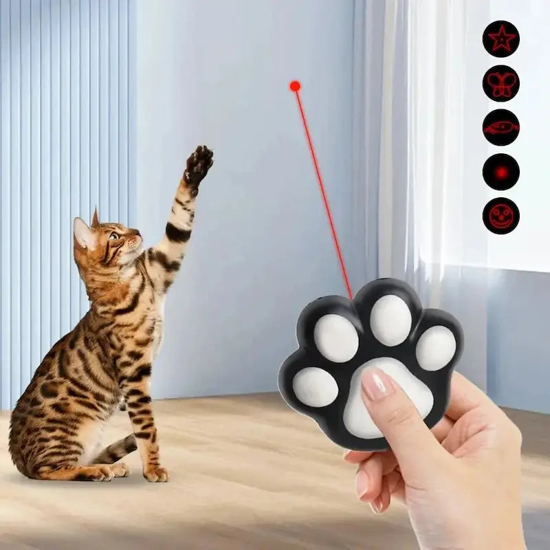 anti-ennui pour chat