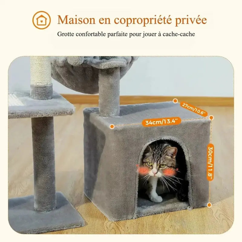 espace de jeu pour chat