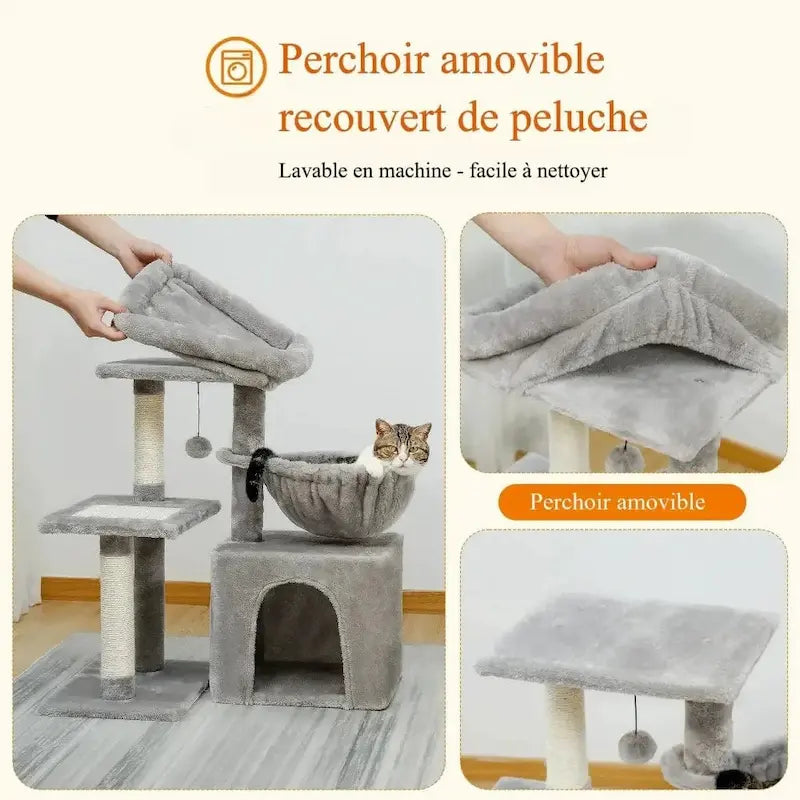 chat jouant sur arbre
