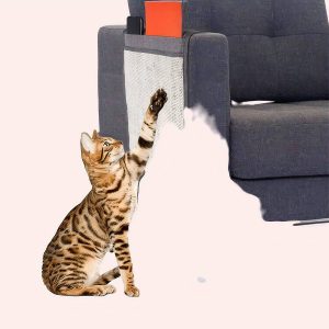 planche à gratter en sisal