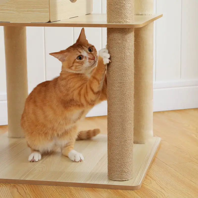 arbre à chat avec perchoir