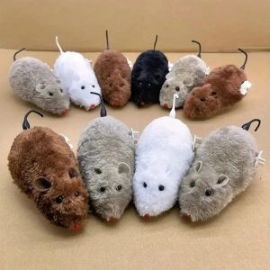 souris chat interactive