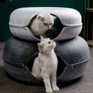 tunnel donut chat ZenCatShop