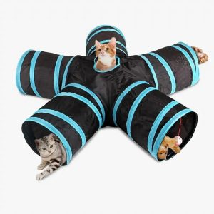 tunnel jeu pour chat zen
