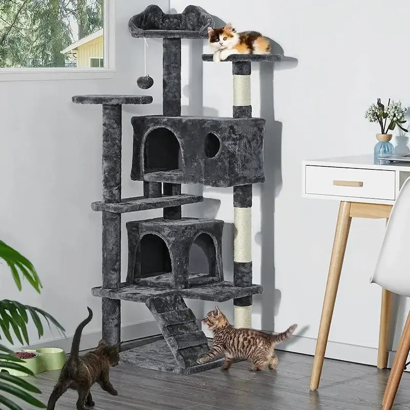 arbre à chat échelle