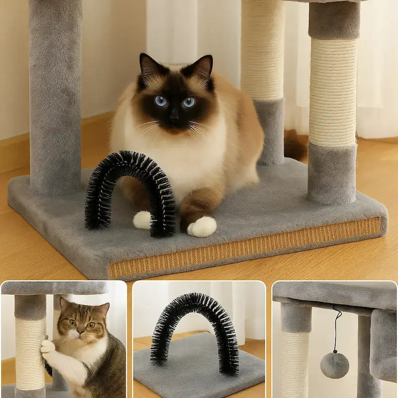 stimule amusant pour chat