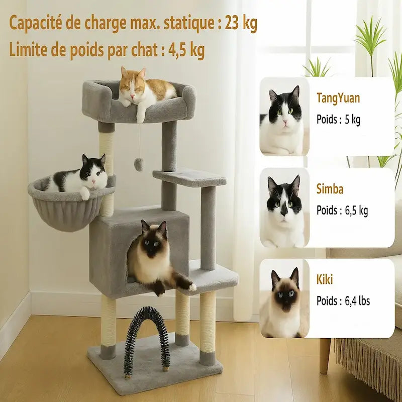 ZenCatShop arbre chat