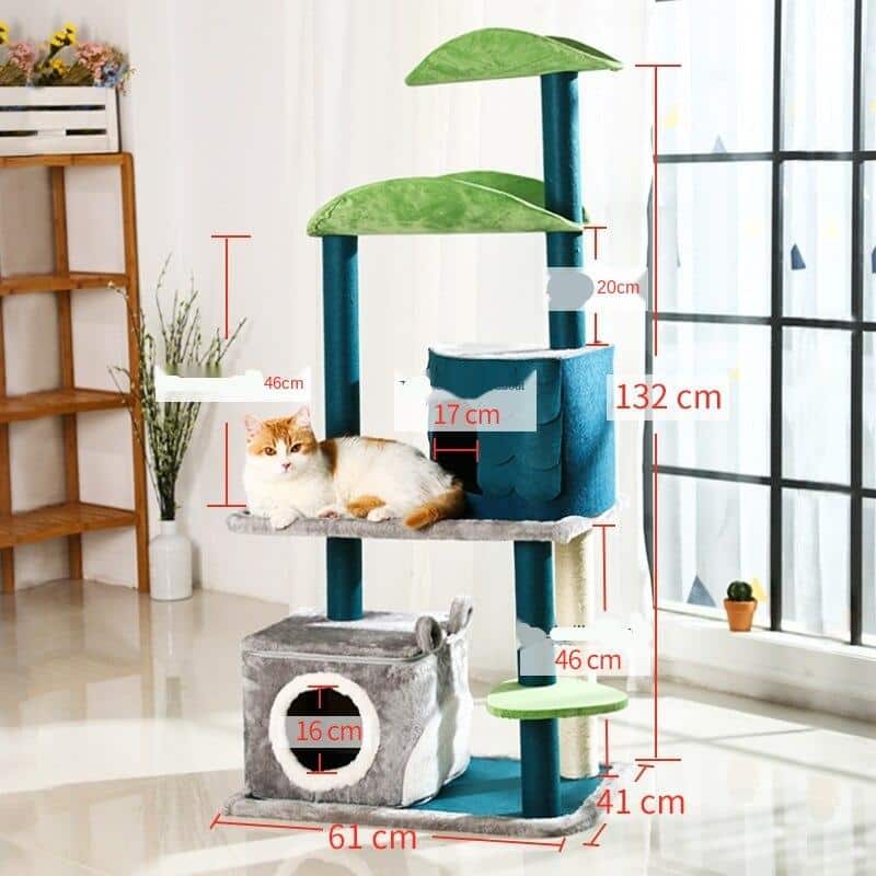 structure pour chat