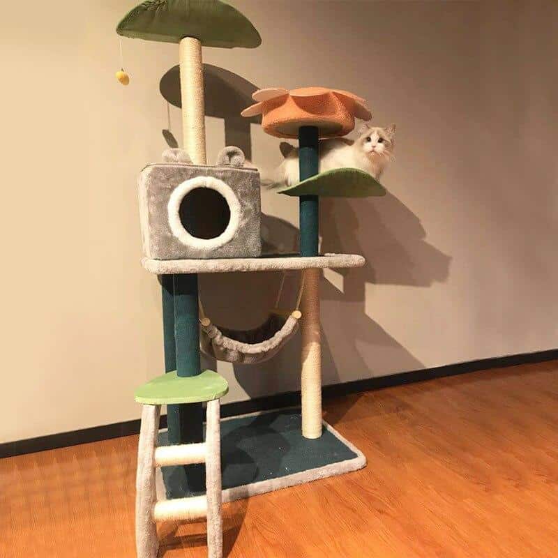 espaces de jeu pour chat