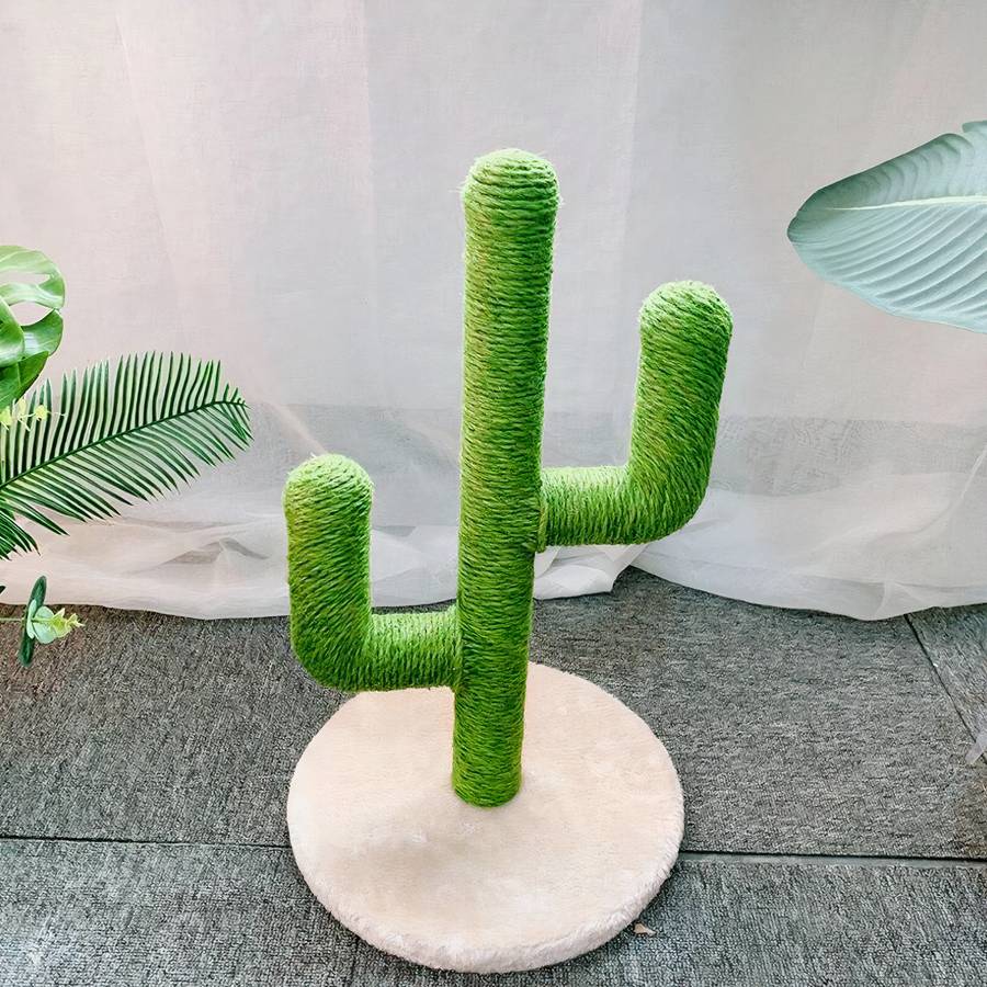 zone de jeu en forme de cactus