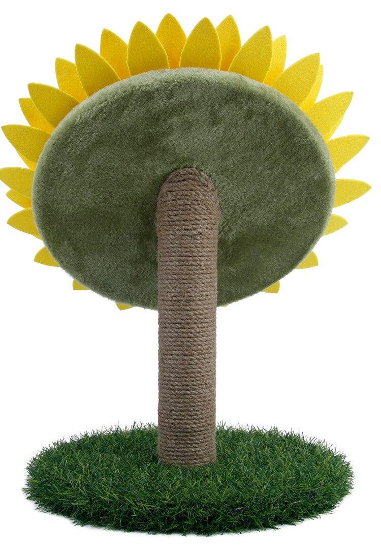 tournesol chat arbre