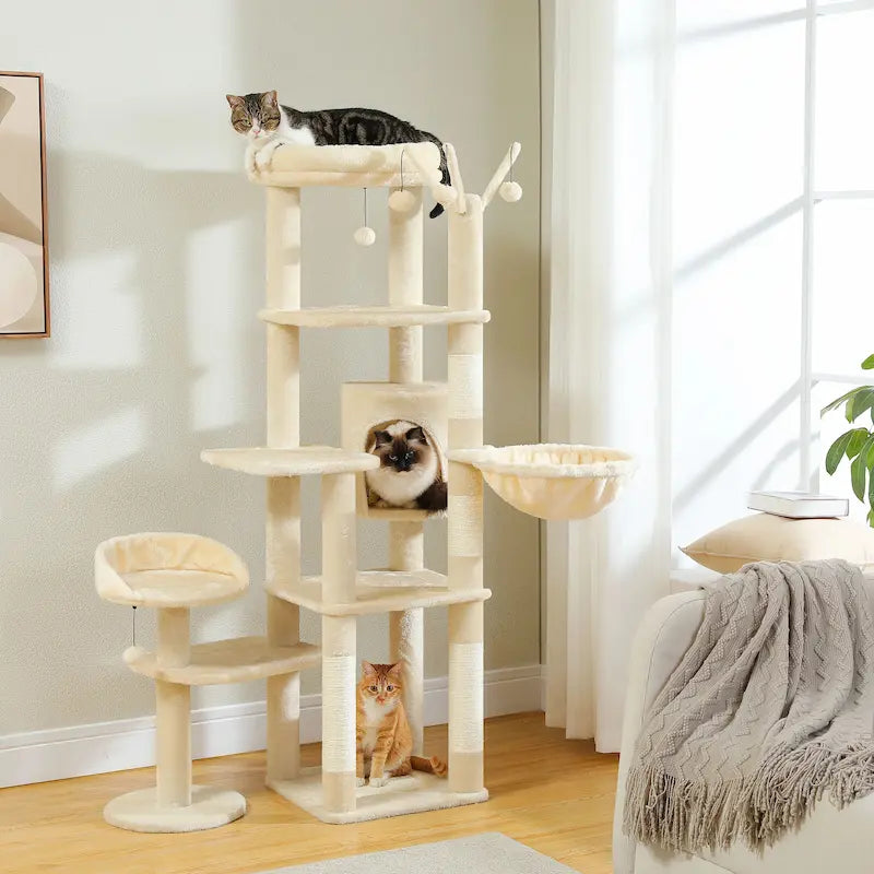 arbre à chat spacieux