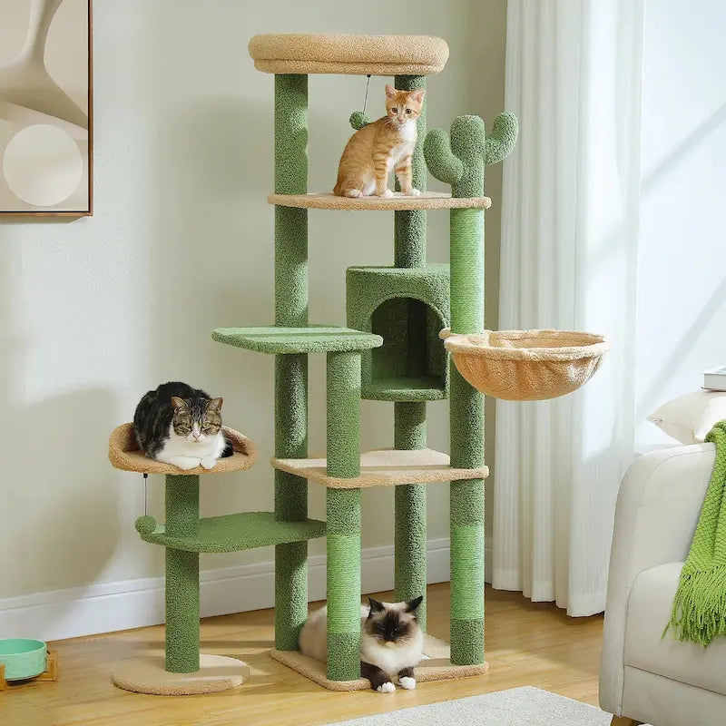 plateforme arbre à chat innovante