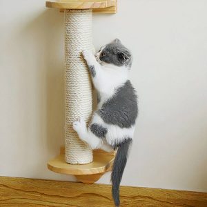 espace de jeu pour chat mural