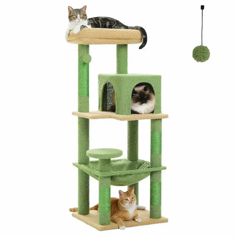 espace jeu pour chat