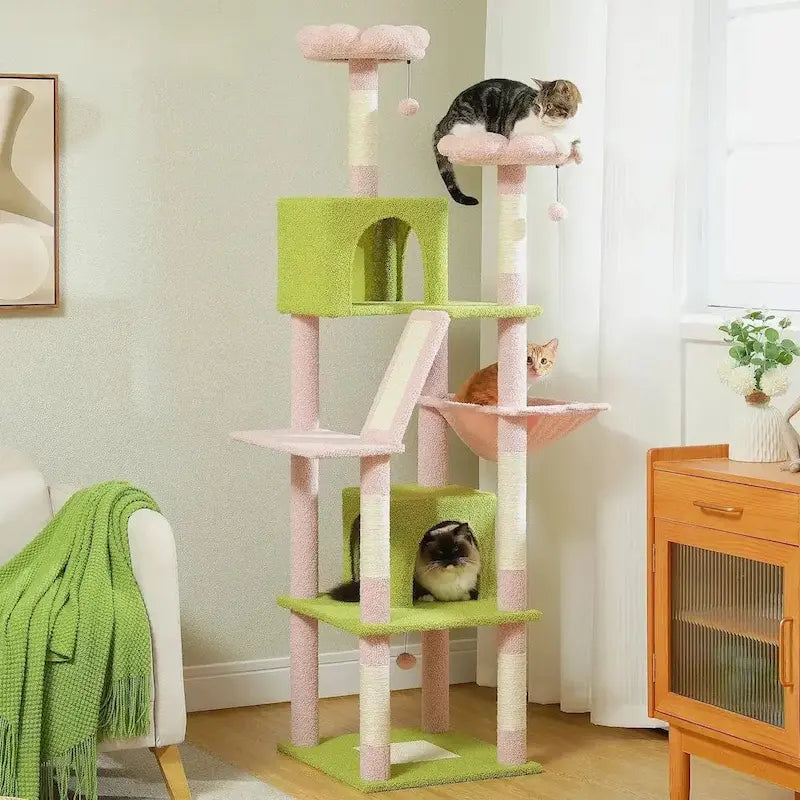 Espace de jeu pour chats