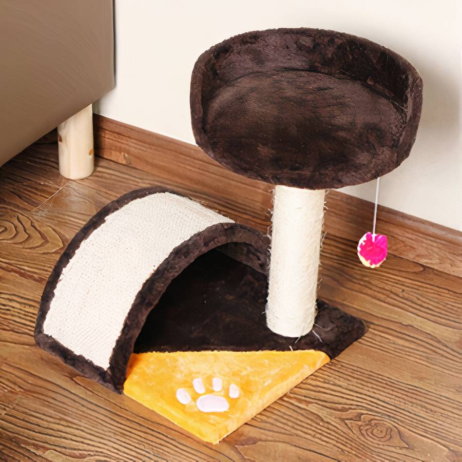 jeu chat arbre amusant