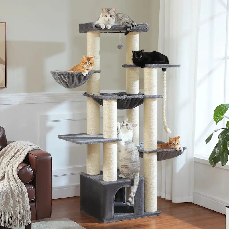 jeu chat CatTower+