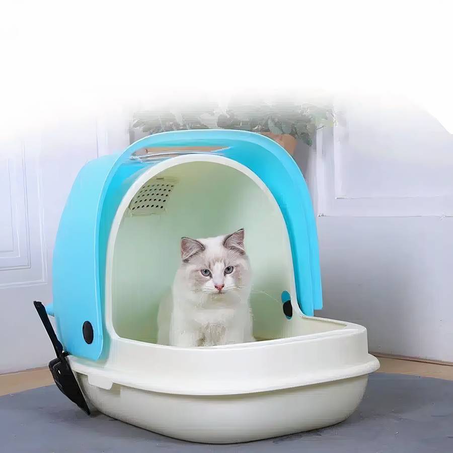 design unique litière chat