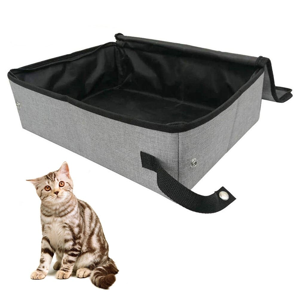 accessoire litière chat