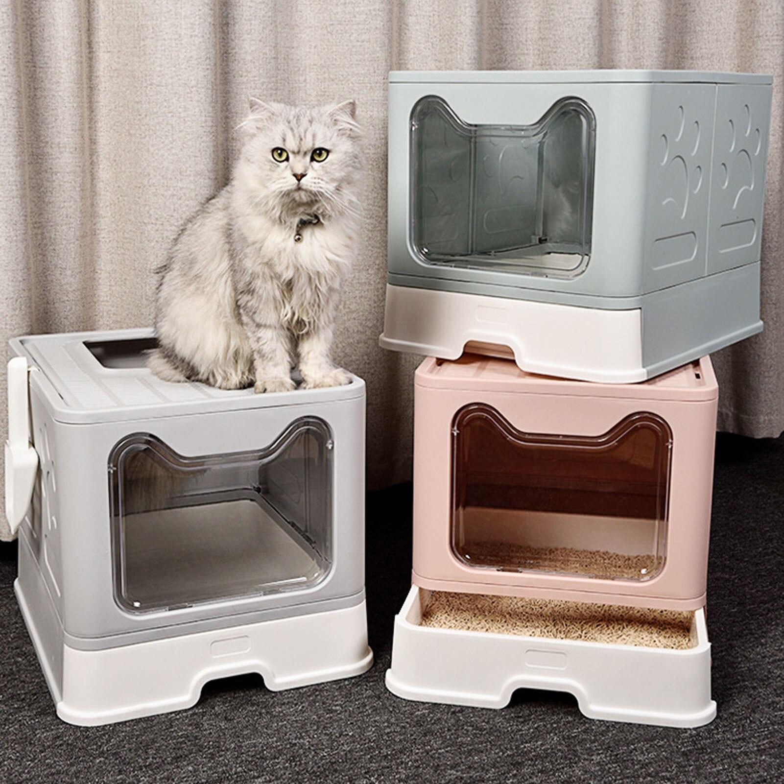 litière chat compacte