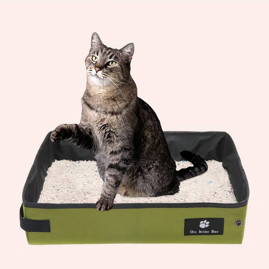 bac à litière vert pour chat