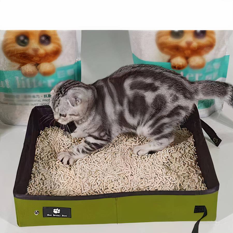 bac pliable chat