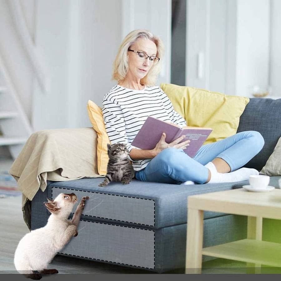 bande à gratter pour chat