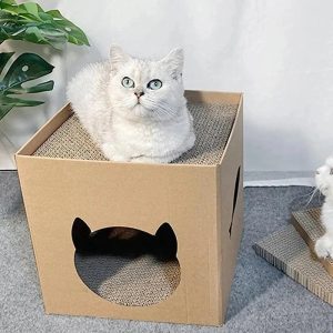 boîte à gratter chat design