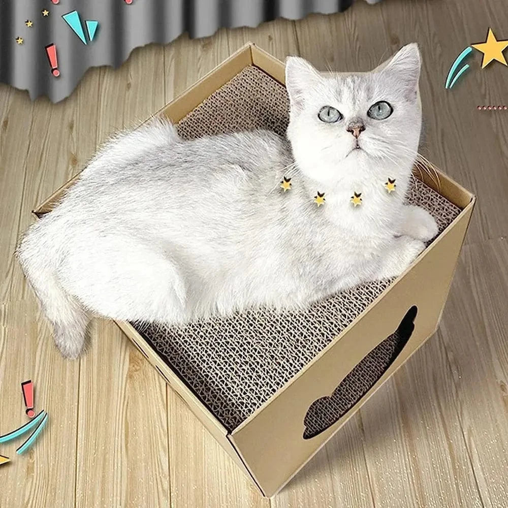 boîte anti-canapé pour chat