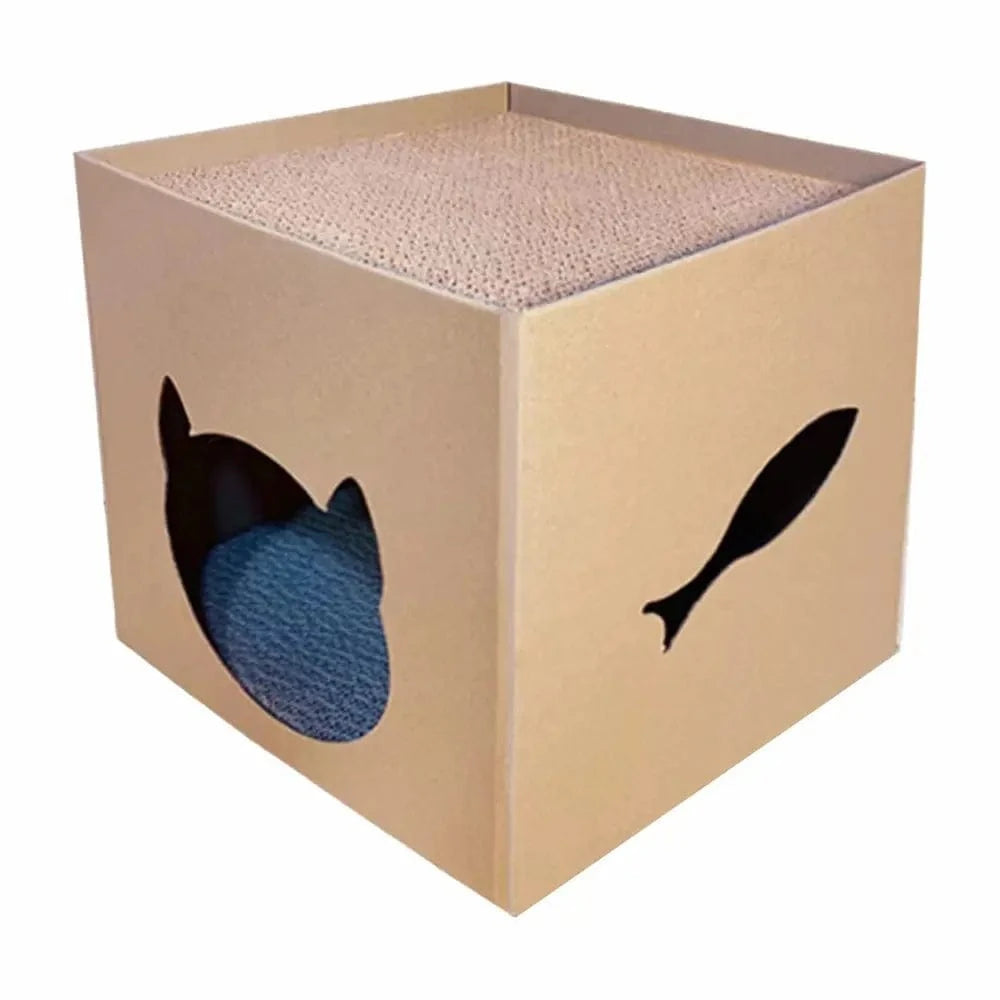 design boîte grattage chat