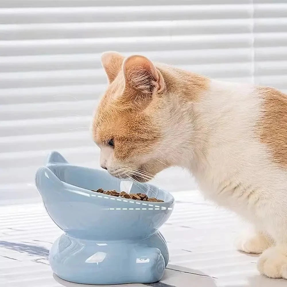 confort alimentaire chat