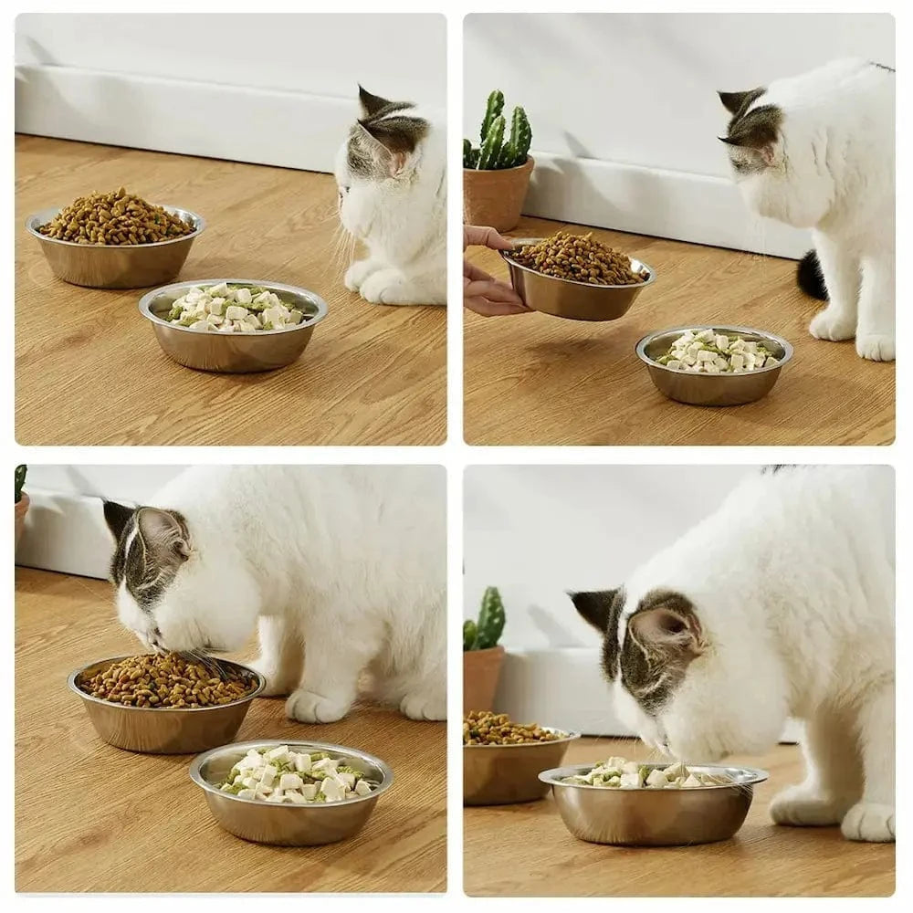 accessoire repas chat inox