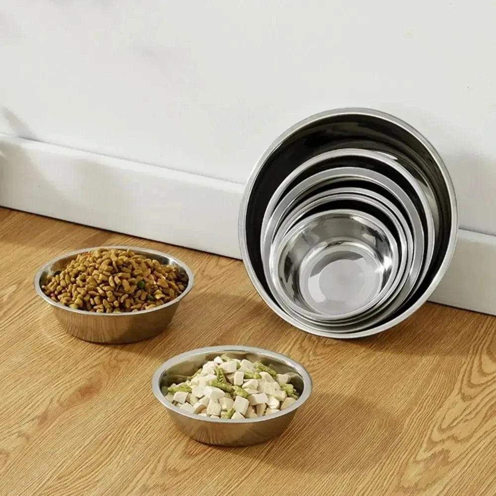 bol pour chat résistant