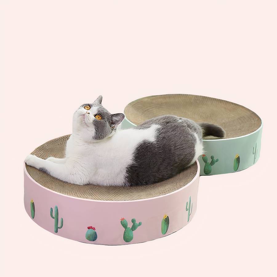 Bol rond à gratter pour chat