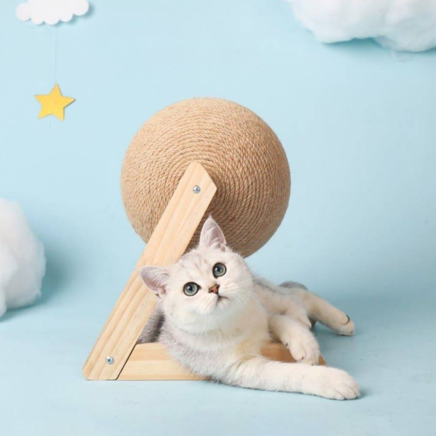 chat jouant avec boule à gratter en sisal