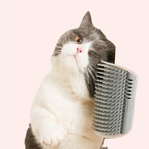 brosse chat amovible