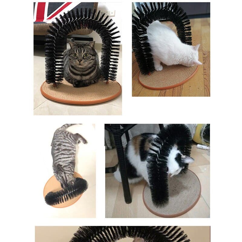 accessoire de toilettage félin