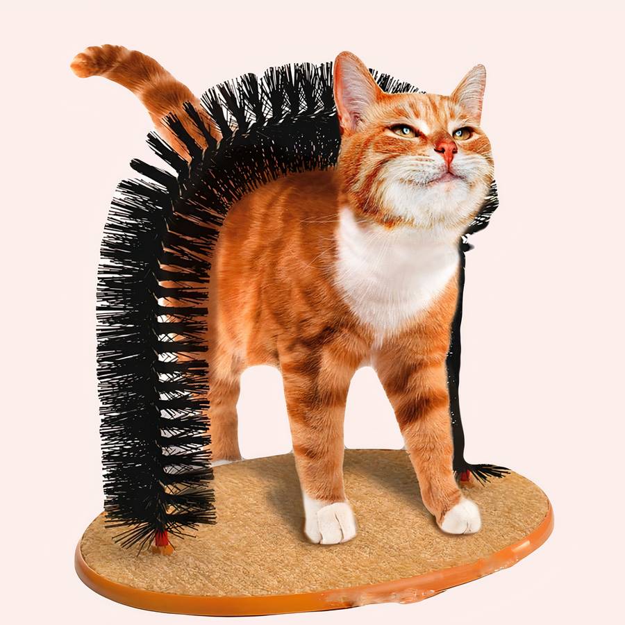 brosse chat pour un pelage lisse