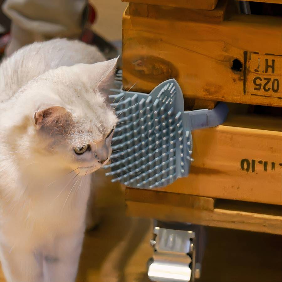 brosse relaxante chat