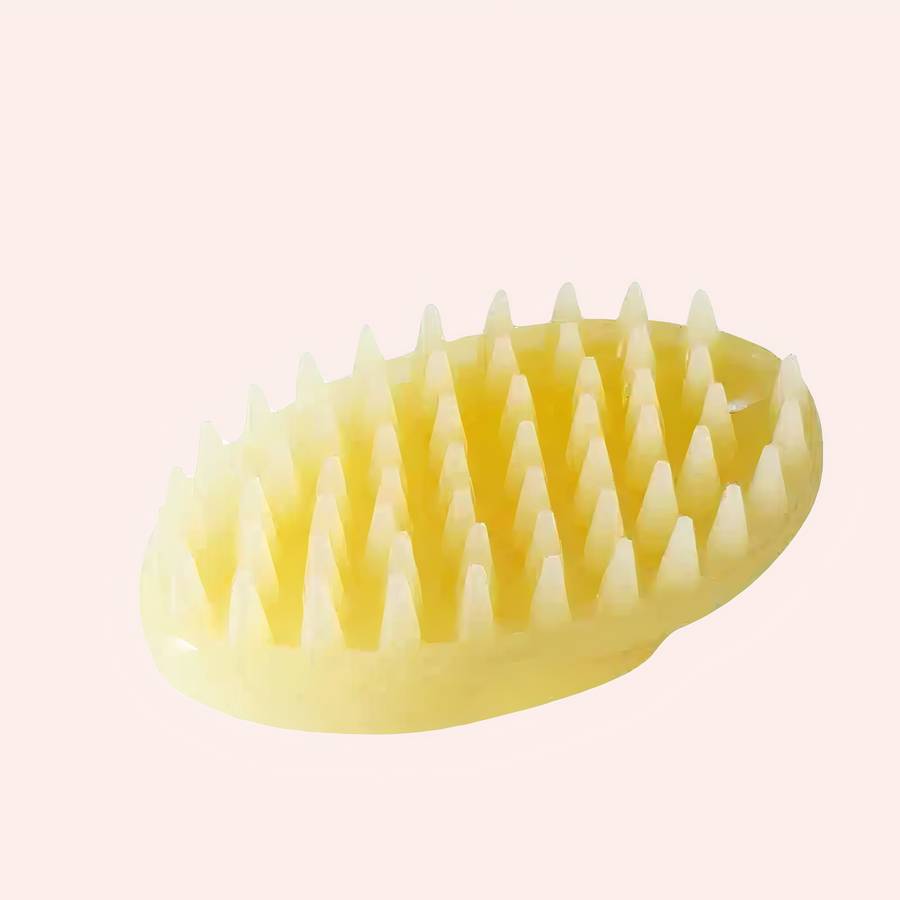 brosse de chat massage et nettoyage