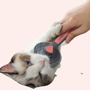 brosse de peigne à aiguille pour chat